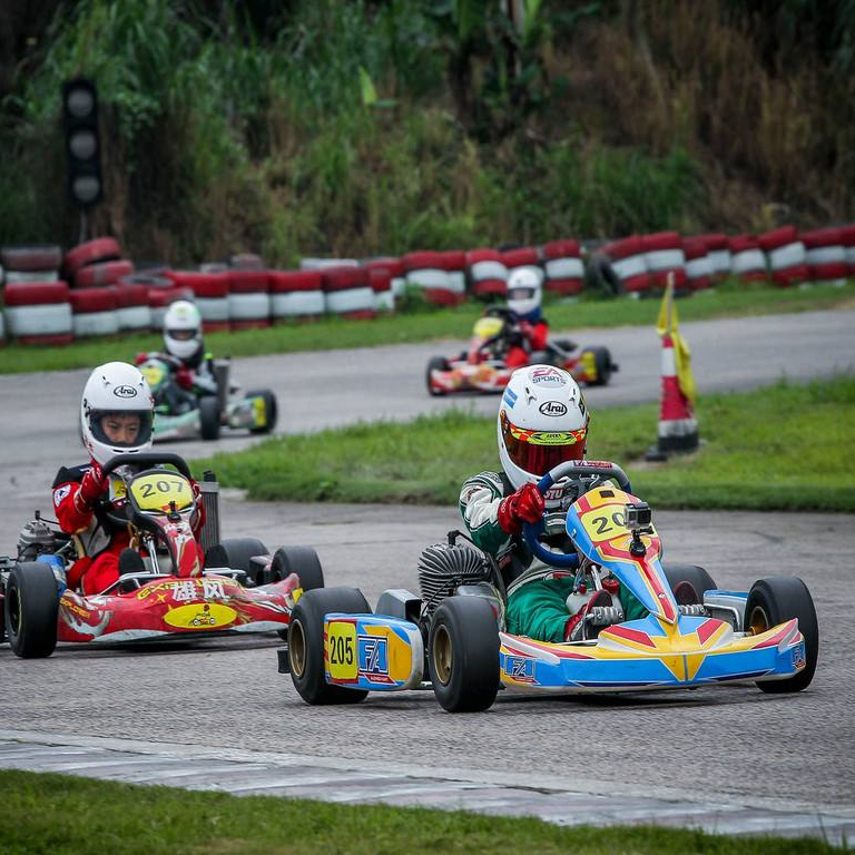 #219 звездочки для 2-местный дешевые go kart