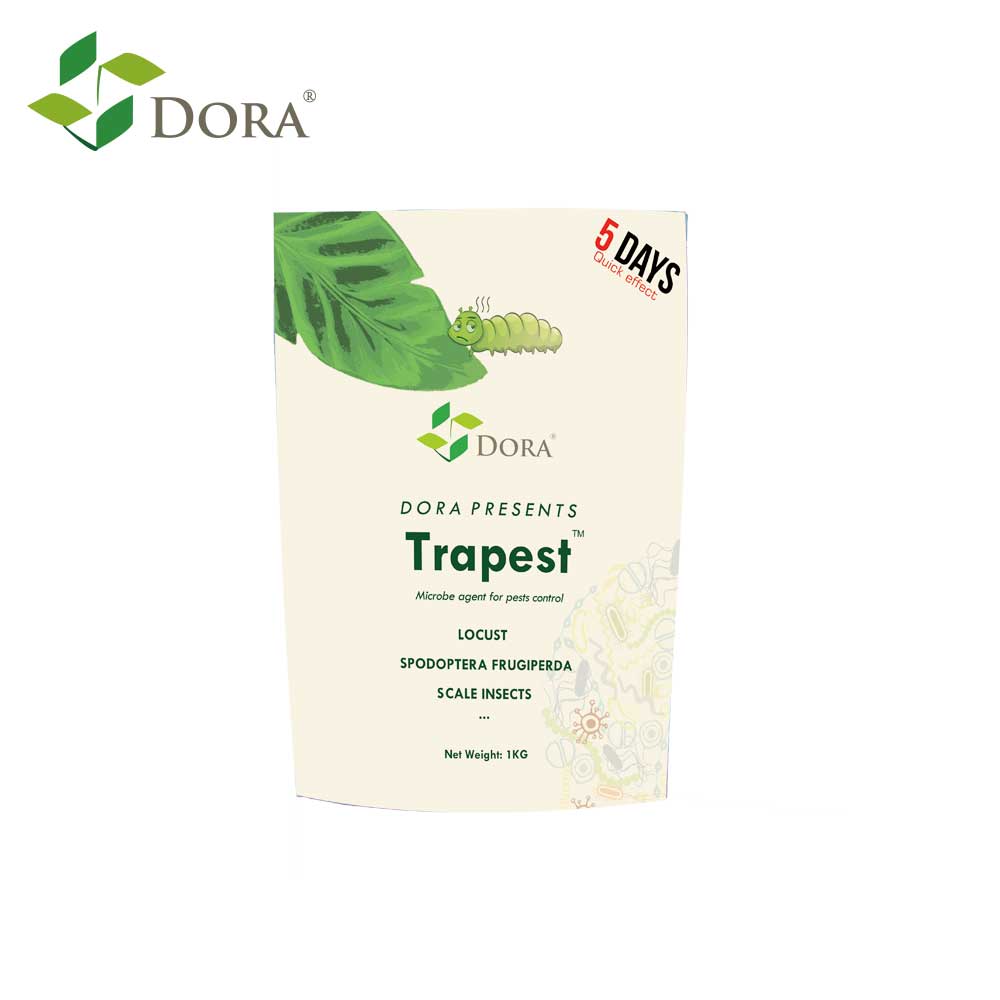Organic Insecticide Trapest Control Pest In Natural Way