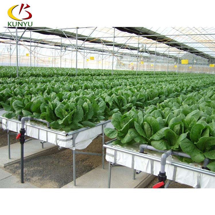 Food garde PVC Microgreen customized hydroponic superfarm nft channel growing leafy vegetables in other greenhouses