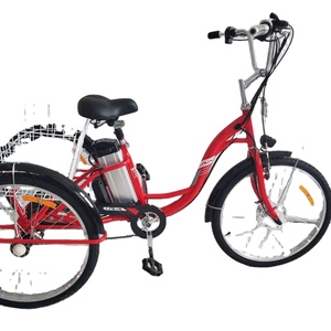 top sell three wheel electric trikes tricycle for adult 3 wheel 250W 36V lithium battery electric cargo trike 24inch