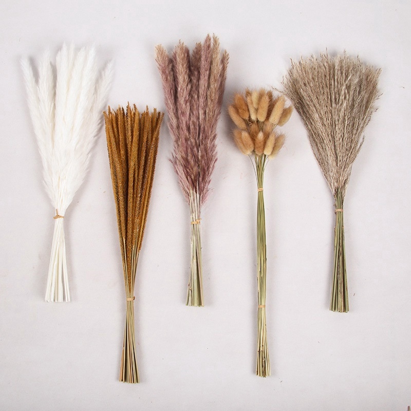 Pampas Grass Wholesale Bouquet Home Decor New Year Bag Natural Touch Eucalyptus Flowers Christmas HW Beautiful Colorful CN;SHN