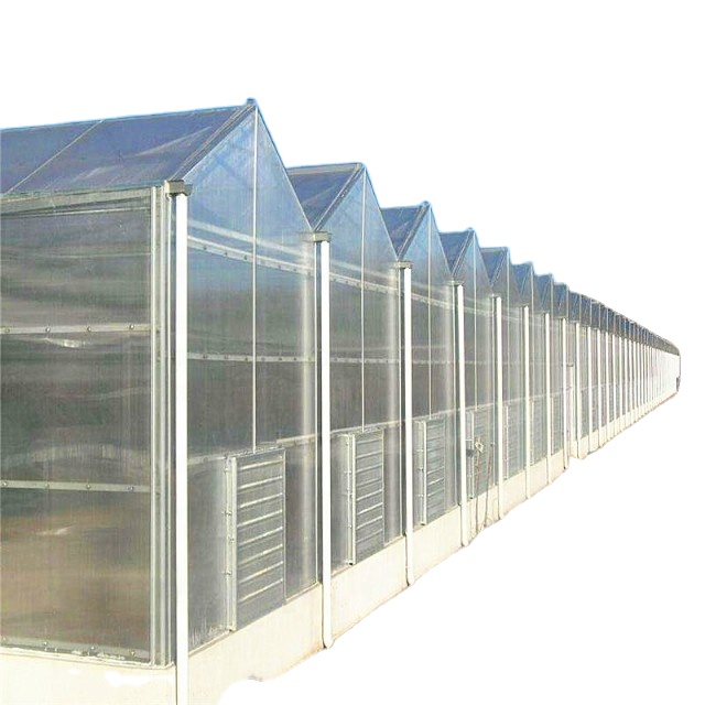 2021 low cost commercial greenhouse glass greenhouse for sale made in China
