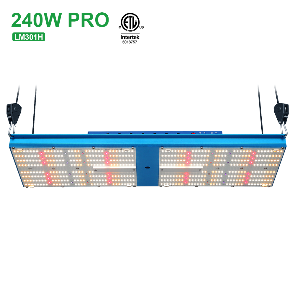 Best led grow light manufacturer Bava 240w full spectrum led LM301H mix uv Oslon red far red plant light led grow for clone