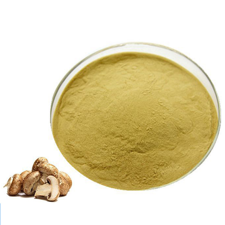 100% Pure Polysaccharide Reishi Mushroom Powder Organic