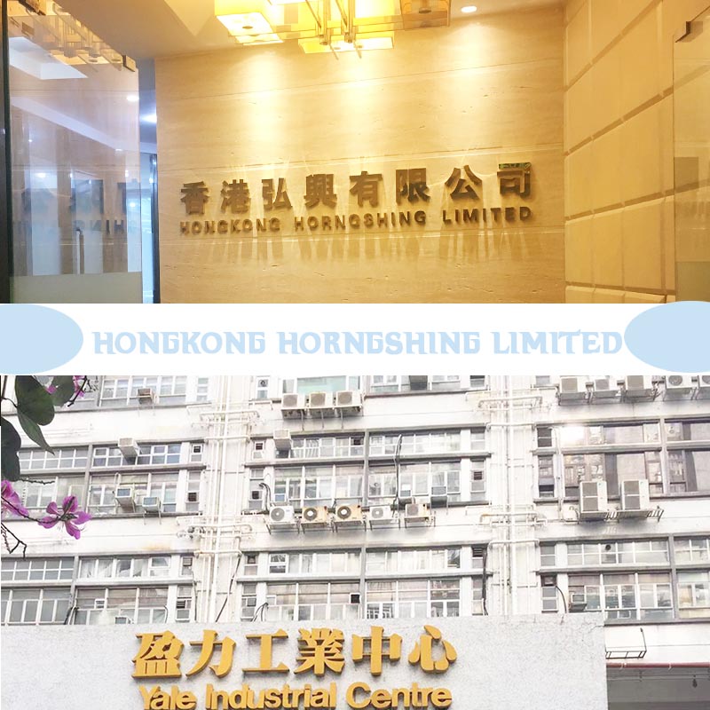 HORNG SHING New and original transistor Schottky diode and rectifier Zener diode ZBDS5101-8PT