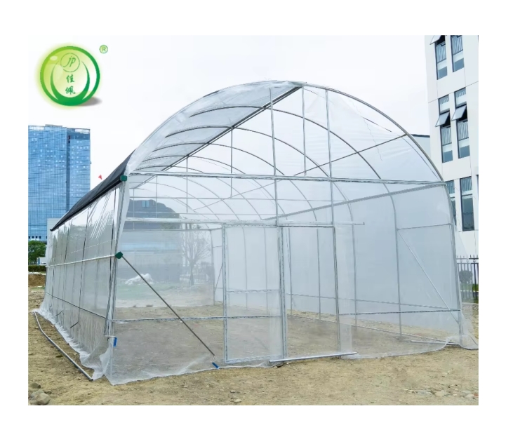 Jiapei Low Cost Single-span High Tunnel 6m Wide by 12m Long Small Greenhouse