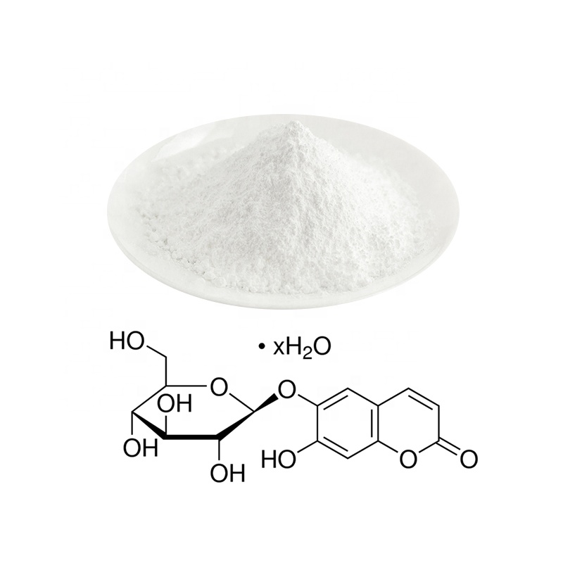 Natural 98% esculin Aesculus esculus extract esculin powder