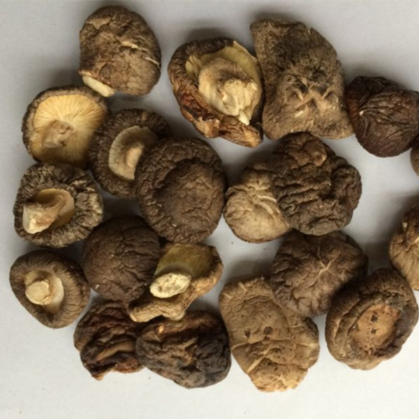 2019 г., самые популярные крупные сушеные грибы shiitake matsutake