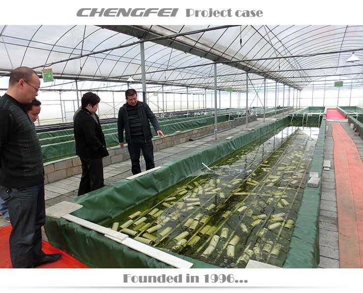 Коммерческий производитель теплиц для aquaponics, используемый для продажи