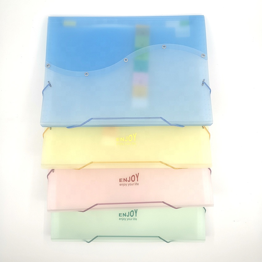 classification A4 PP silk-screen printing tranasparent double colour 13 Pocket Expanding Accordion File Folder