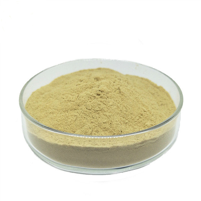 Био-удобрение Bacillus laterosporus azотобактерия