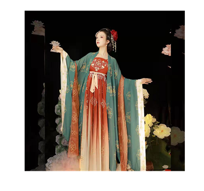 Tang Feng Hanfu Chinese Traditional Classical Adult Female Embroidery Original Ethnic Costume free harpin accesories