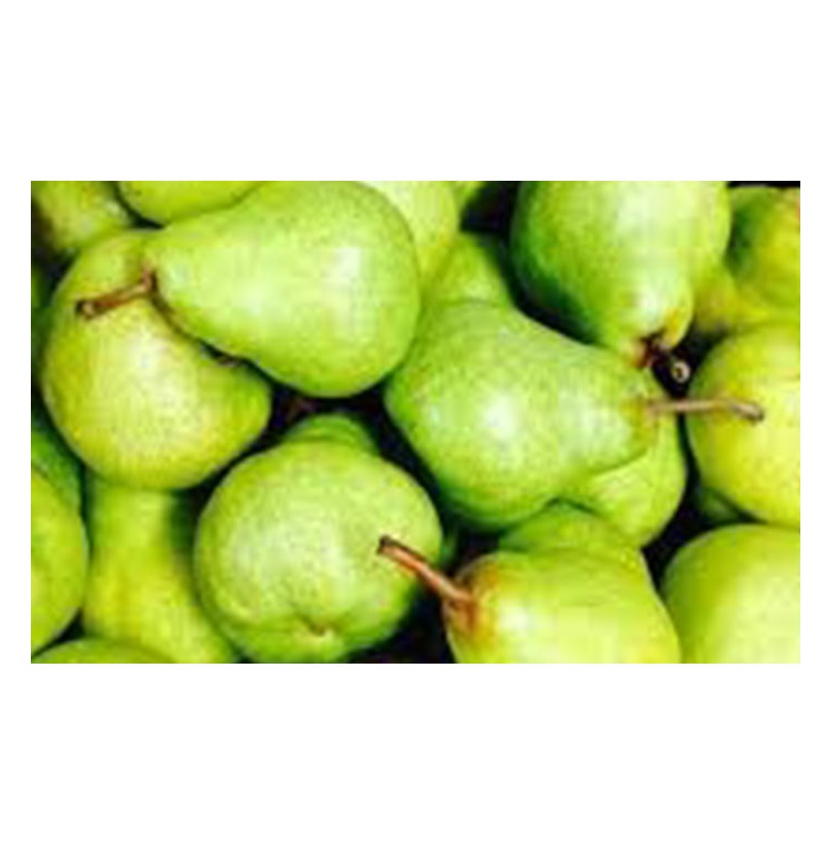 Южная Африка, супер качество, свежие PACKHAM TRIUMPH PEARS, оптовая продажа