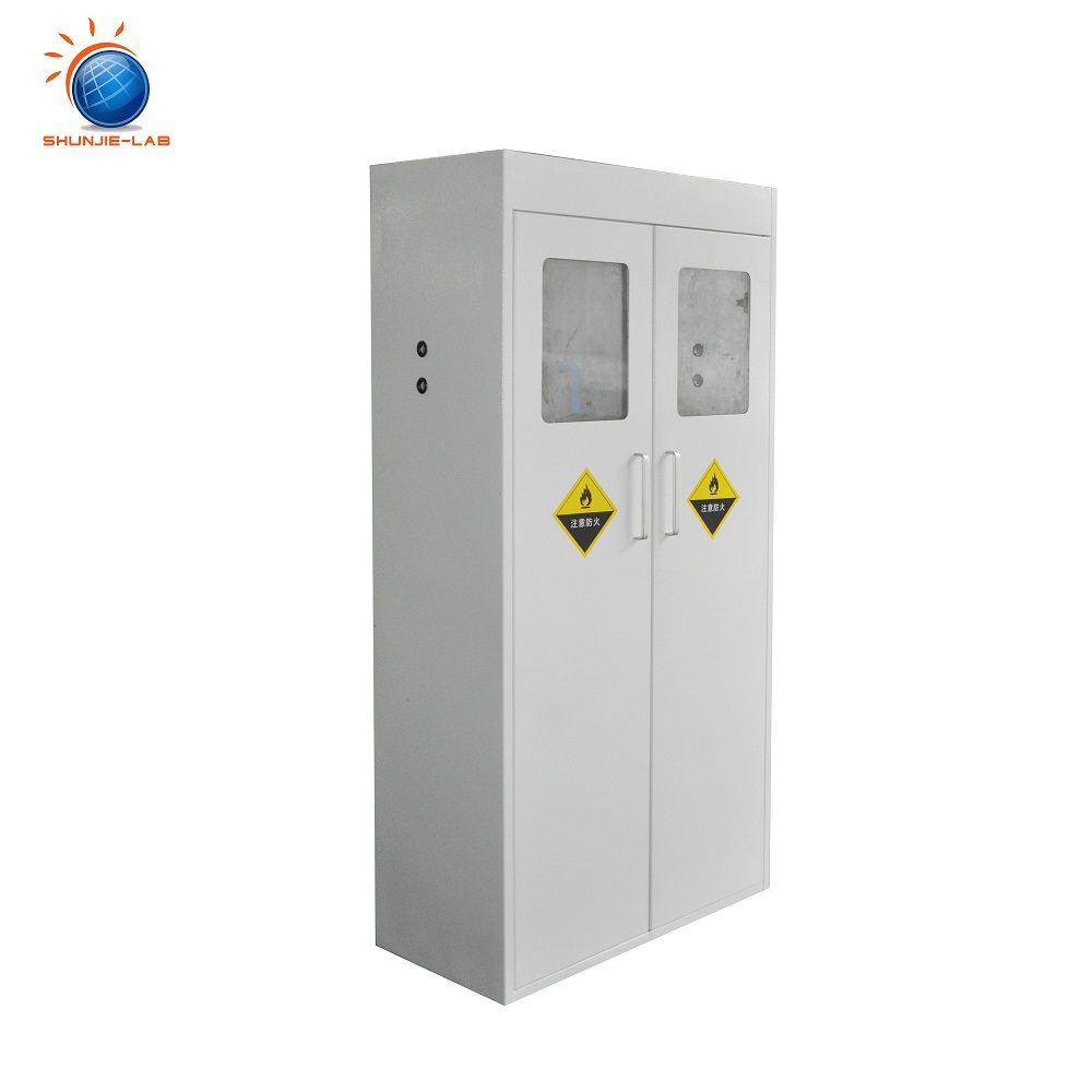 Physics Chemical Lab Equipment Storage Cabinet Single Gas Cylinder Steel Engineering Technology Modern Science School Equipment