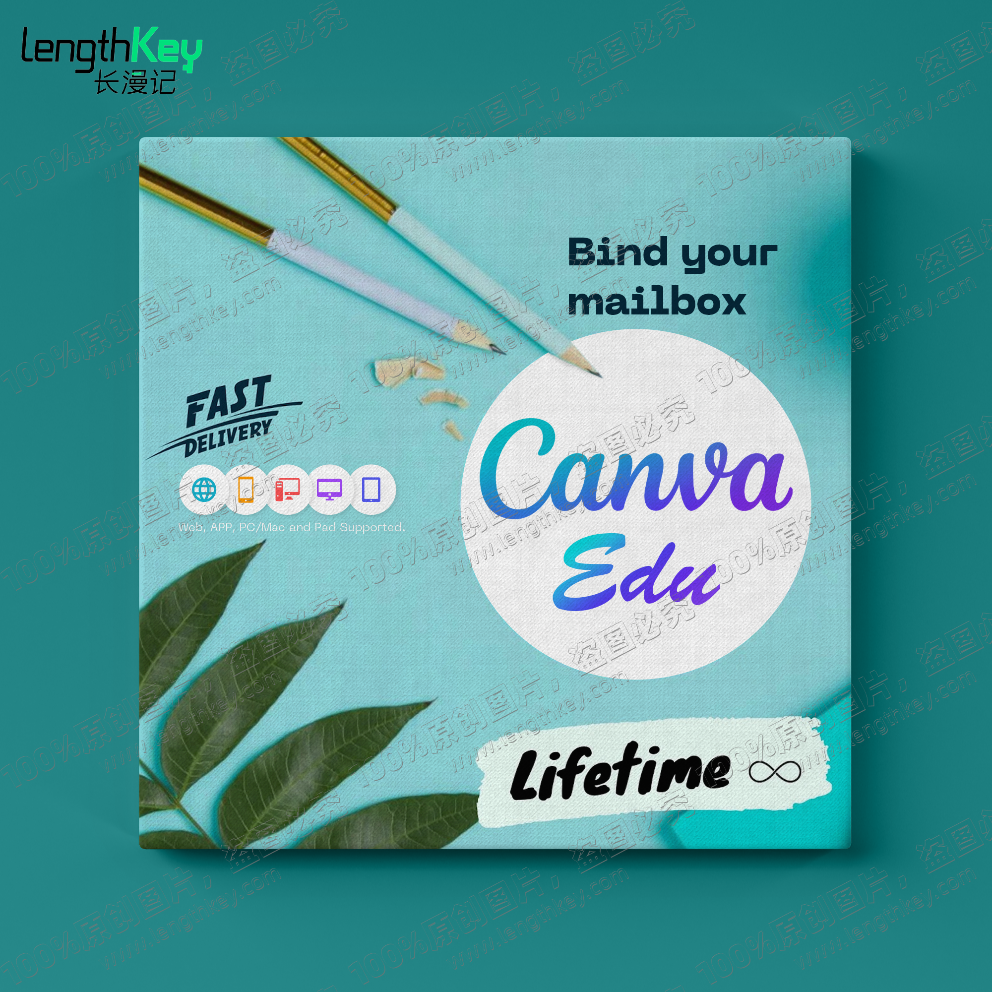 24/7 г., онлайн Canva Edu, личная учетная запись, официальное Оригинальное программное обеспечение для онлайн-графического дизайна, образование, не про
