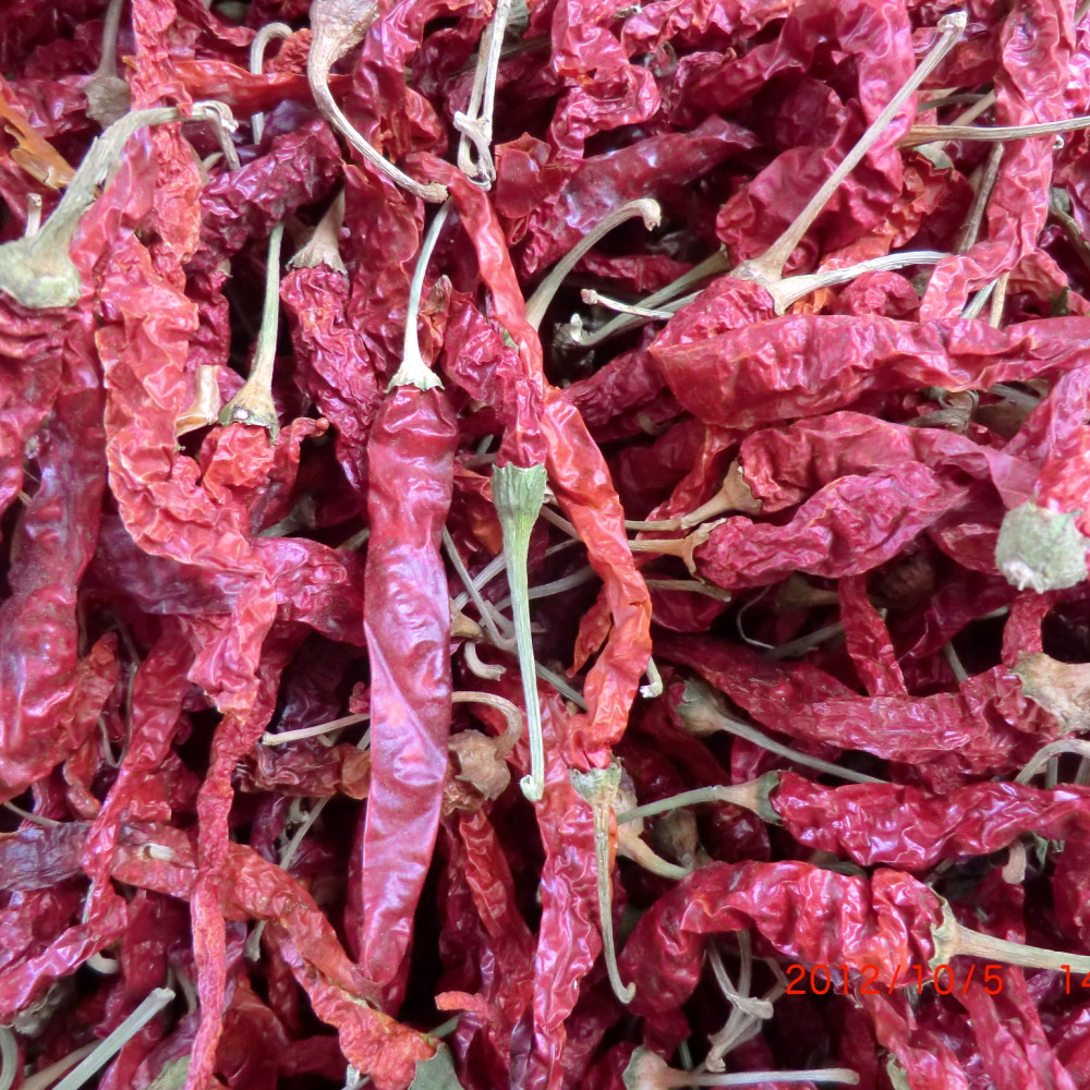 Factory Wholesale Hot chili pepper cayenne pepper with cheap price