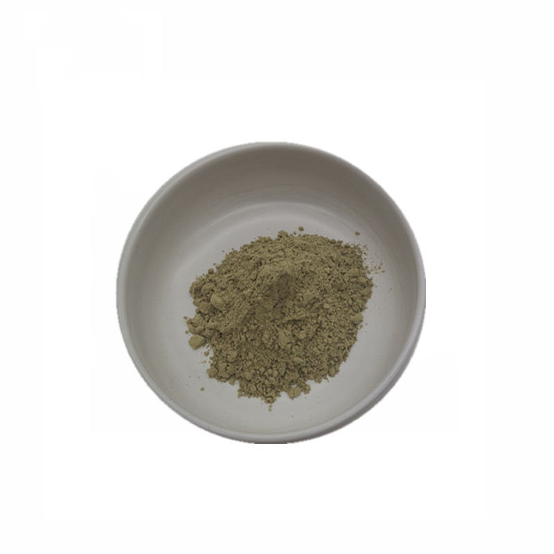 Competitive Price 25% Ursolic Acid Loquat Leaf Extract
