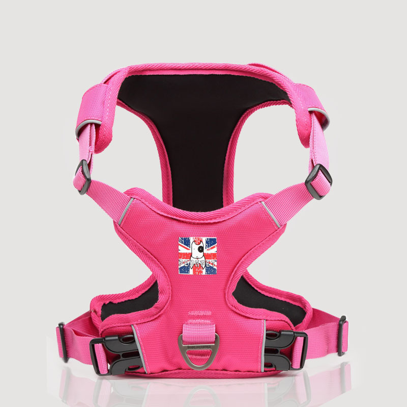 Luxury Designer Reflective Soft Padded Oxford With Pull Choke Dog Harness And Rope Leash Set