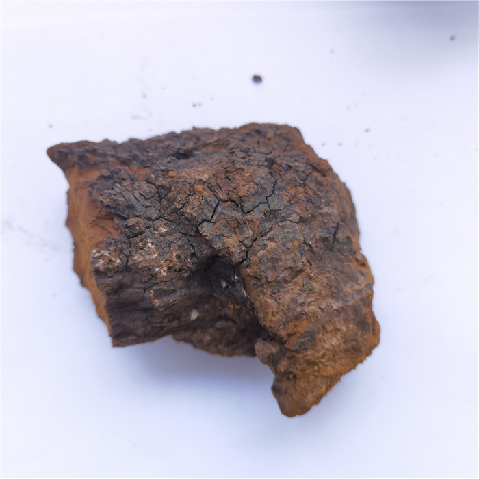 bai hua rong organic siberian chaga chunks inonotus obliquus mushroom