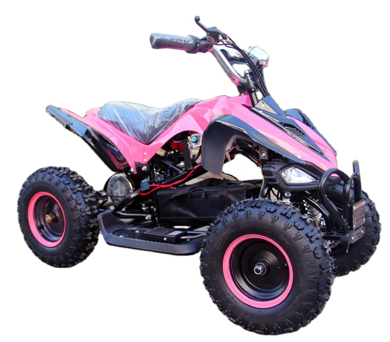 Phyes Детский Электрический вездеход 4 Wheeler Quad 36V 500W для мальчиков и девочек