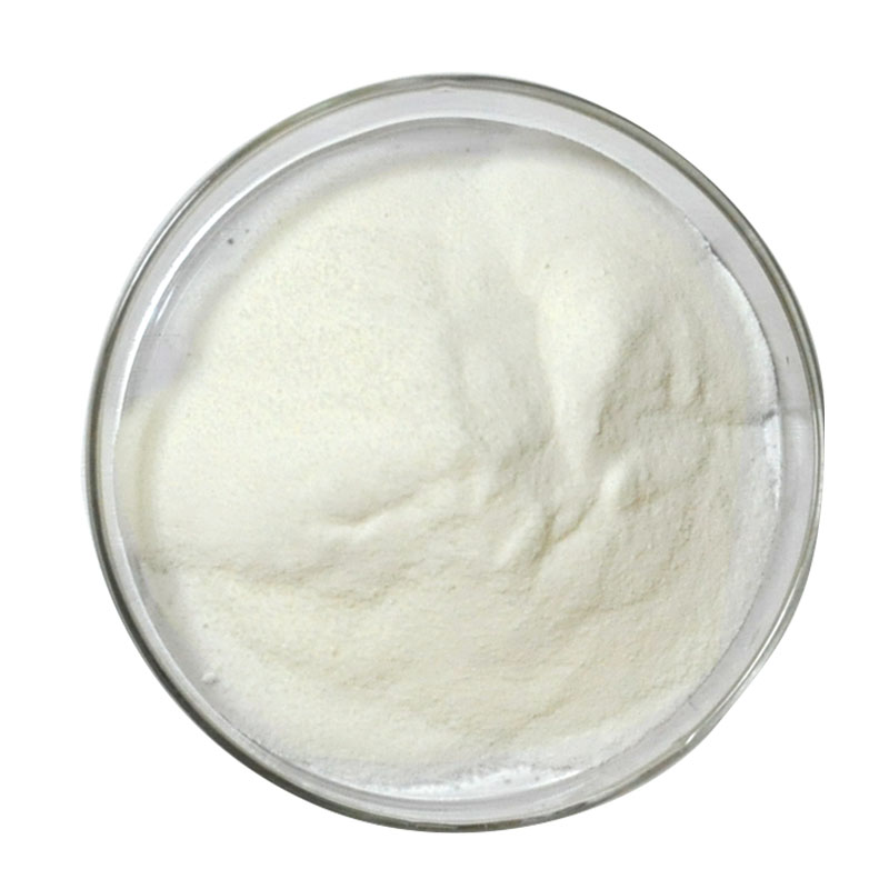 New products lactobacillus acidophilus anti allergic intestinal probiotic