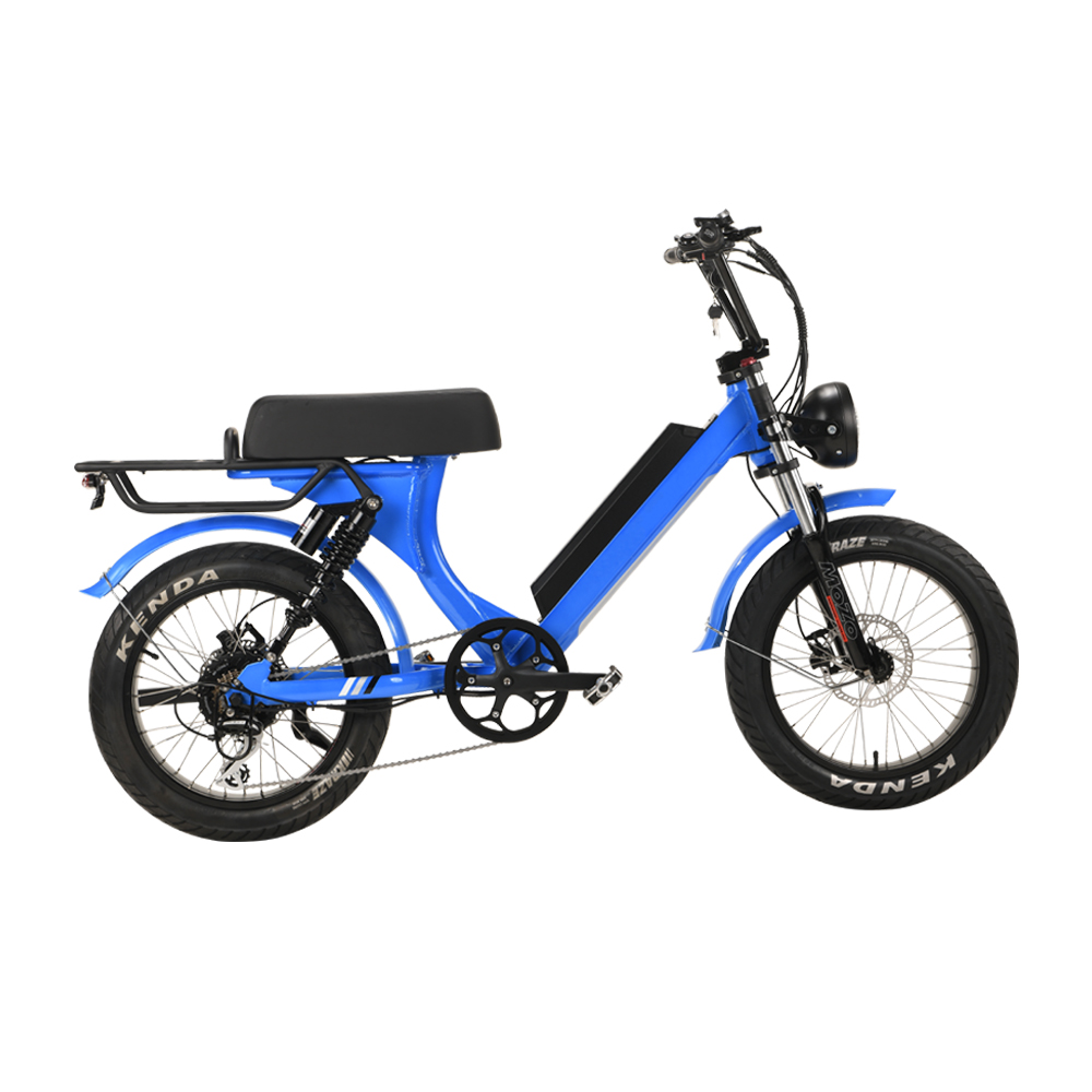 20 дюймов, уплотненные, большие колеса снег мини 500 750 ватт moter цикл motercycle Электрический горный велосипед