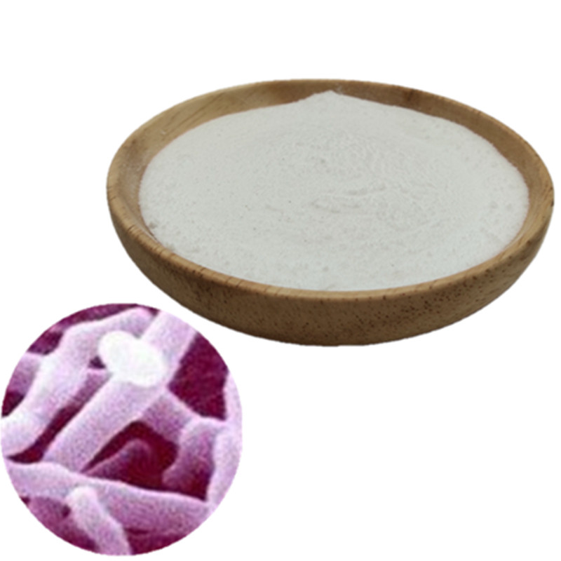 YT Biochem food grade probiotic freeze dried powder bifidobacterium lactis