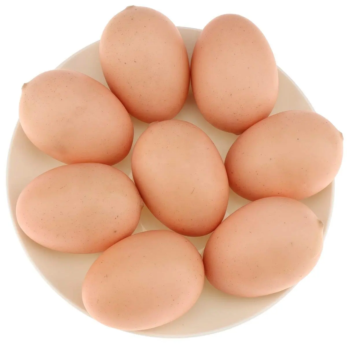 Fresh Chicken Table Eggs & Fertilized Hatching Eggs, White and Brown eggs