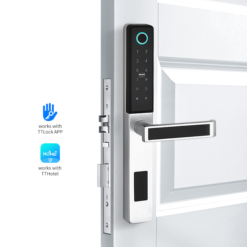 European standard Aluminium digital smart door lock tuya app fingrint lock