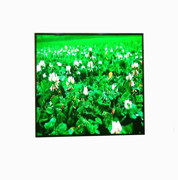 outdoor p1.538 full color led display screen module 320x160mm