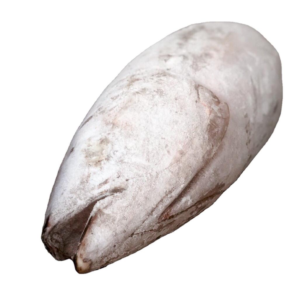 Factory sale various IQF frozen albacore for fresh seafood