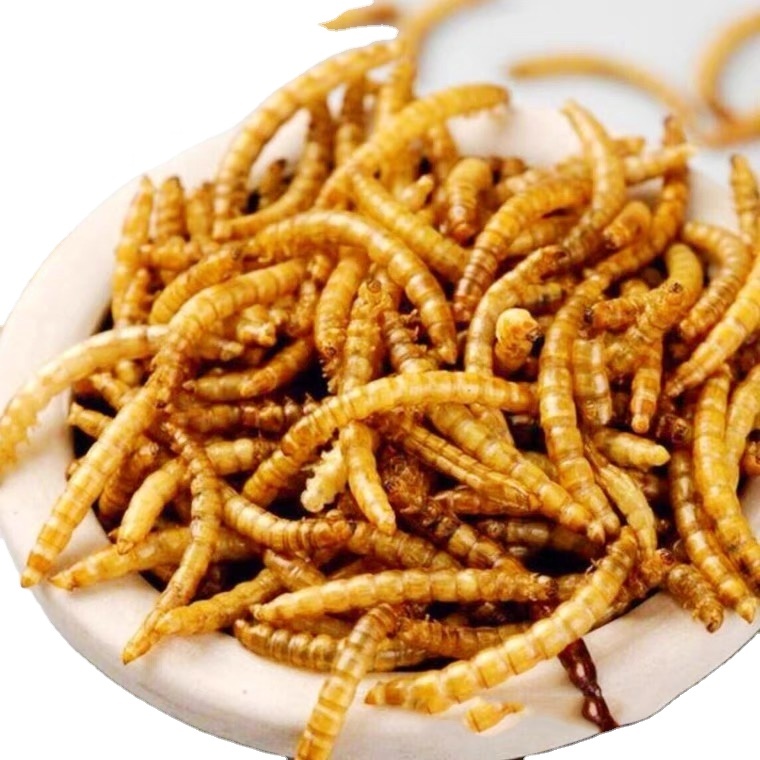 Pet food factory high protein birds fish food dried mealworms
