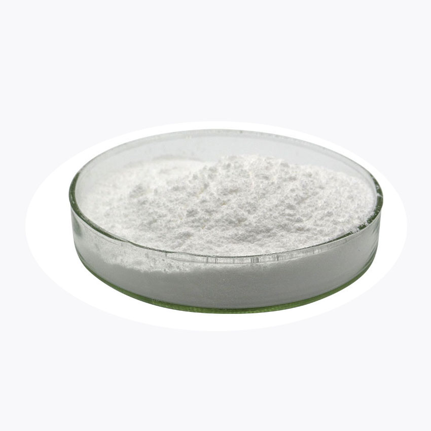 Пробиотики, сублимированный порошок Lactobacillus casei
