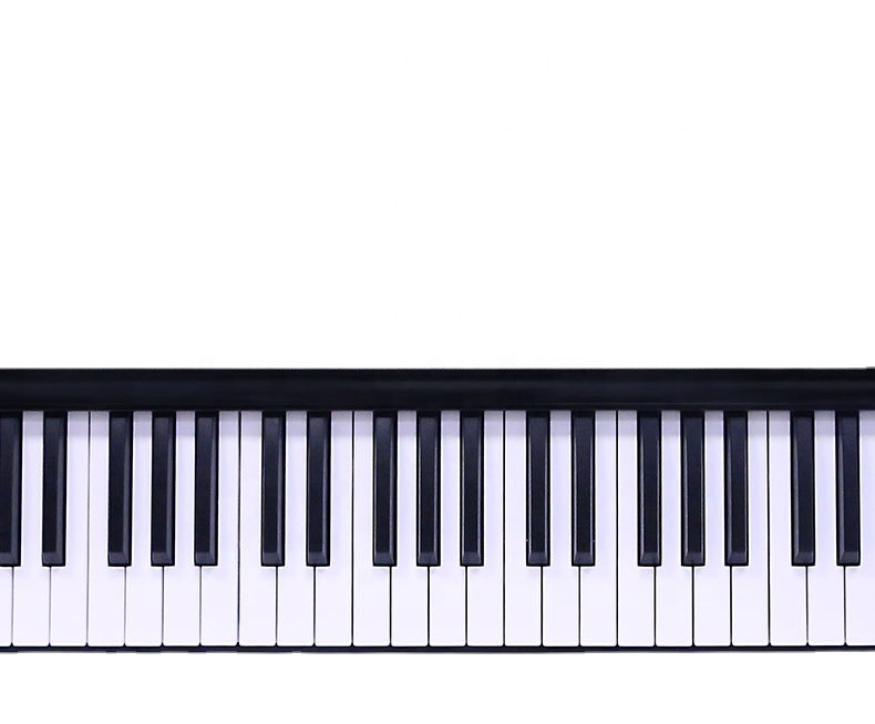 Musical Instruments Factory Direct Portable 88 key electronic piano adult beginners with Bluetooth MIDI keyboard