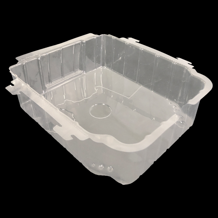 Shengsu Blister Disposable Transparent Cookies Biscuit Dried Dry Food Plastic Fruit Tray