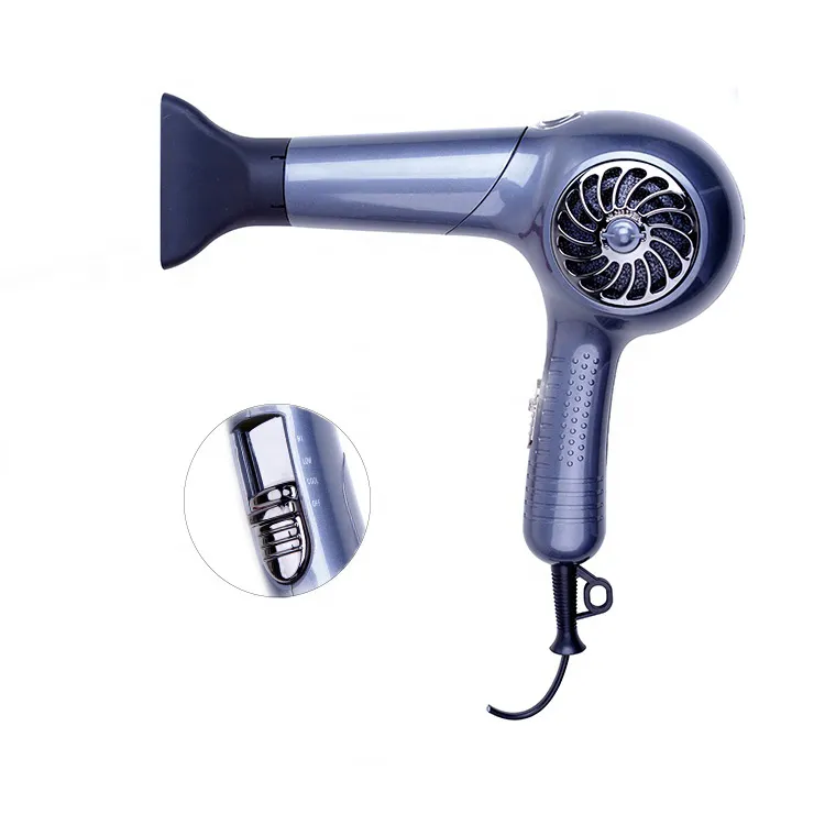 Professional Hair Dryer With DC Or AC Motor Blow Dryer Hotel Hair Tools Ionic Function