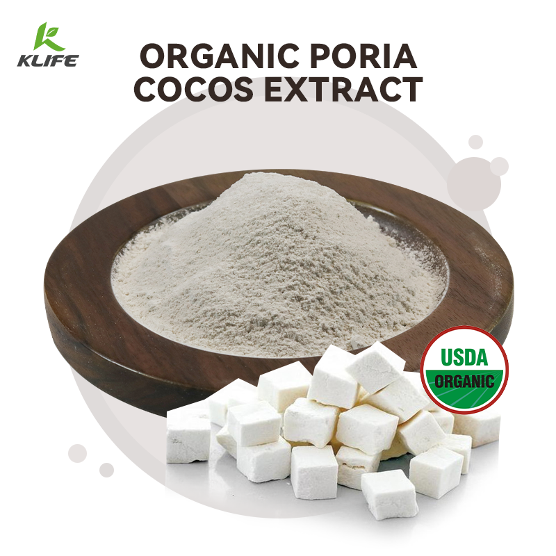 Wholesale Bulk Pure Natural Organic Poria Cocos Extract Powder