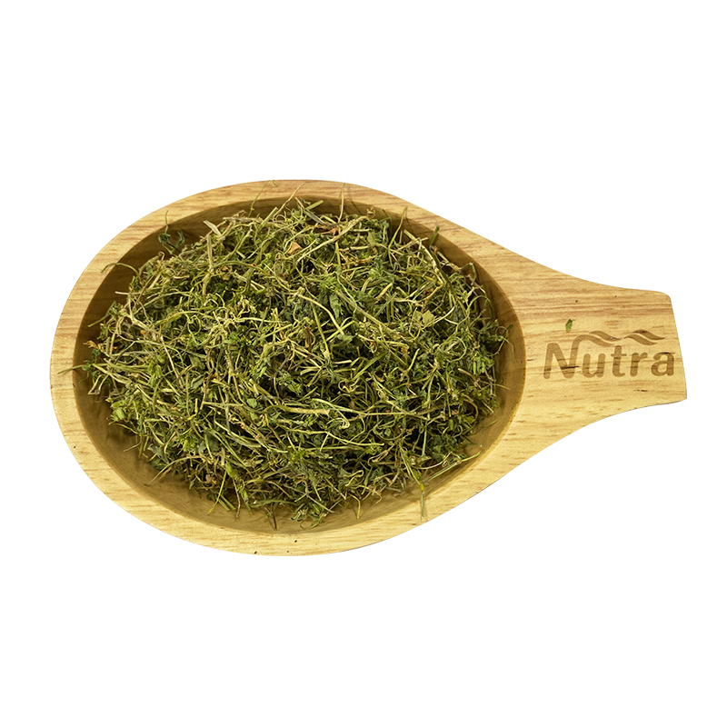 Wholesale Organic certificated Euphrasia officinalis eyebright herb cut tea