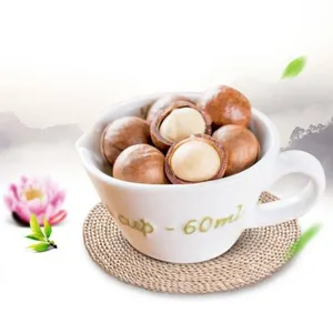Price macadamia processing nuts storage for sale with good price