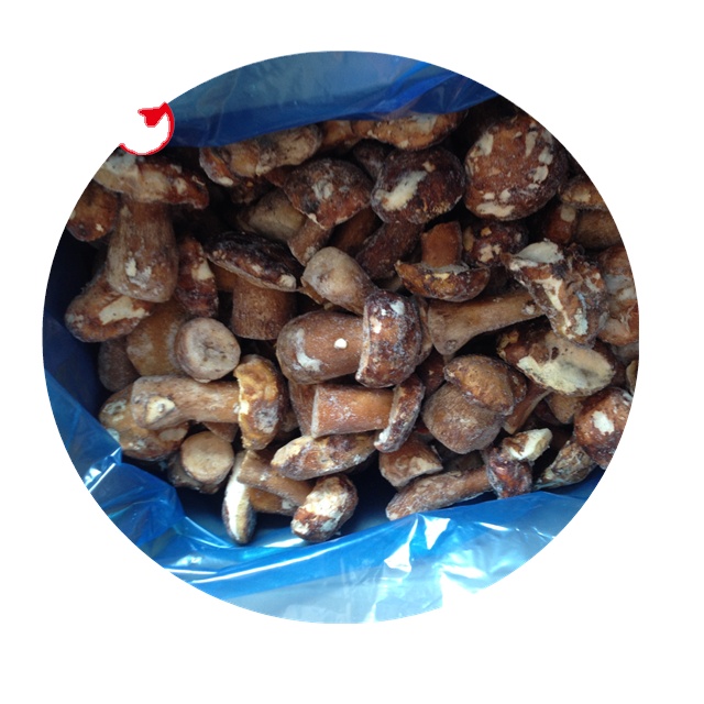 Best price frozen mushroom IQF Suillus granulatus