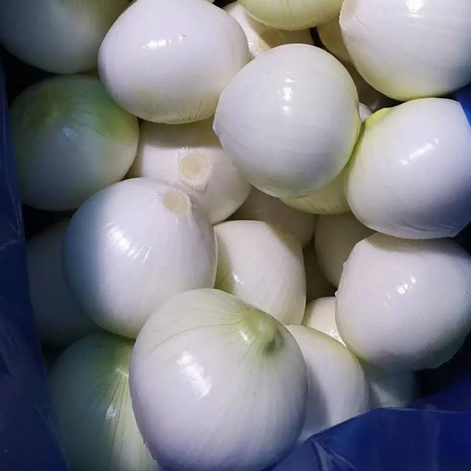 Sinocharm Frozen Vegetable Red Onion Yellow Onion Peeled Frozen Fresh Onions For Sale