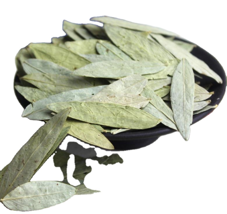 High quality dry natural raw Senna Alexandrina leaves tea