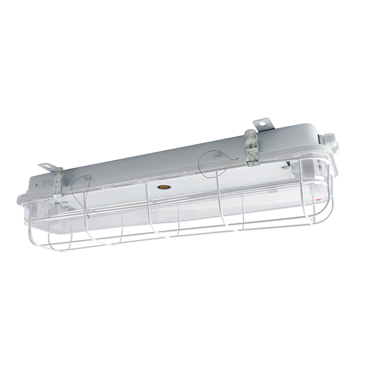 MARINE FLUORESCENT PENDANT LIGHT MARINE LIGHT JCY22-2 JCY32-2 JCY42-2