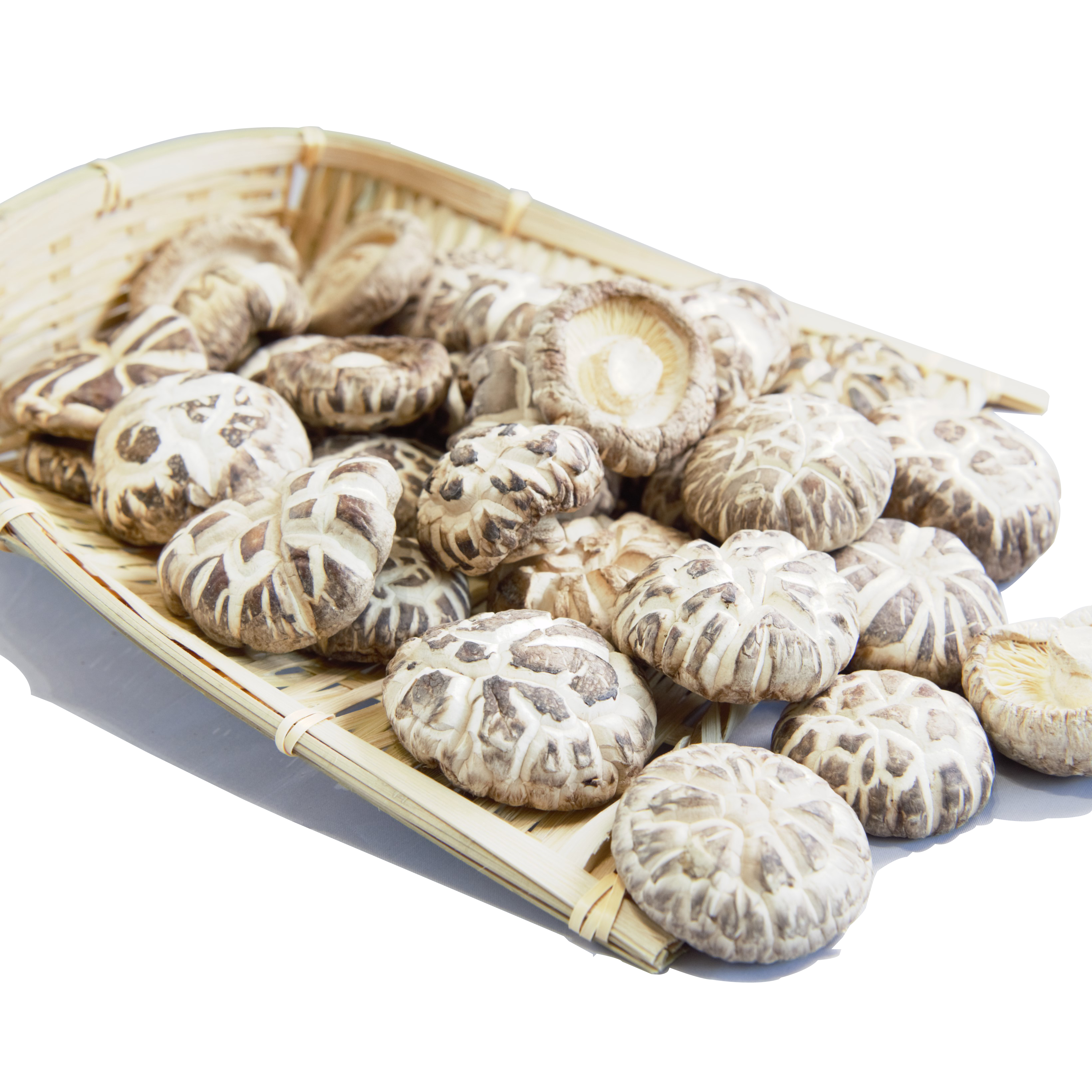 Superior Quality Driedshiitake Mushroom Magic Mushroom