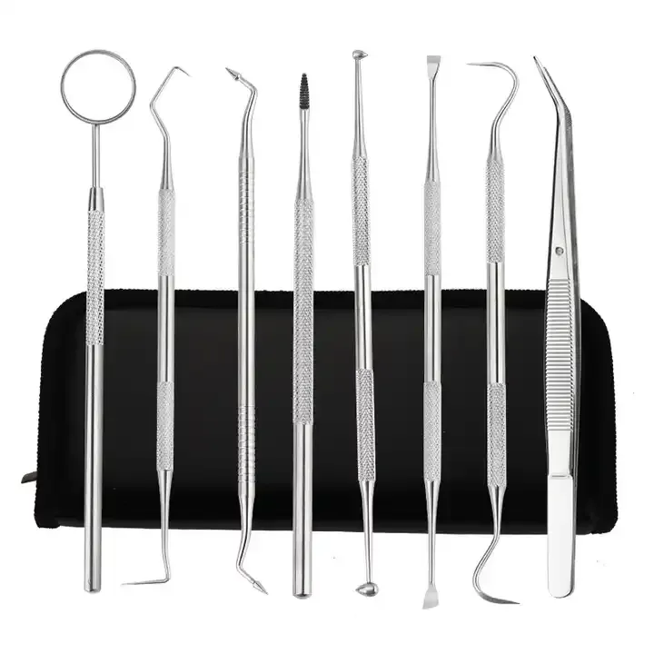 Best Selling 8 Pieces Stainless Steel Oral Teeth Care Cleaning Dental Kits Tools