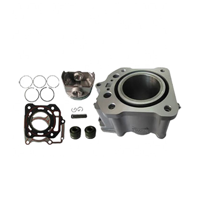 Cylinder Block ZS250-W Cylinder Block Kit for ZS250-W Motorcycle Cylinder Block ZS250-W