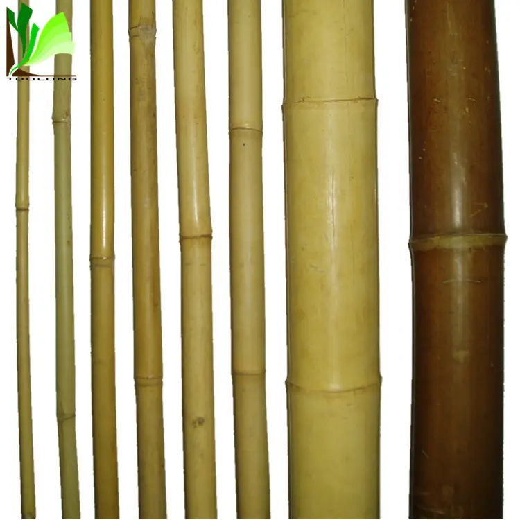 Wholesale Bamboo Poles/Bamboo Canes/ Bamboo Sticks