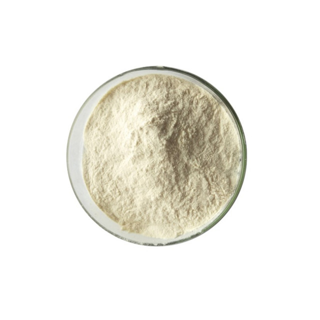 Factory Supply Organic Dried Loquat Fruit Juice Powder
