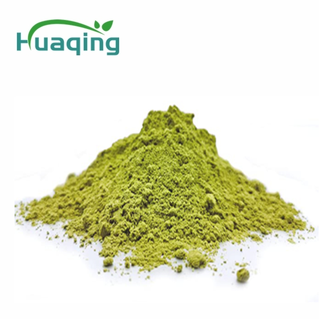 Hot selling 100% pure Nutrition Best quality pine needle powder