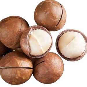 Macadamia Nuts , Australian nut, factory direct offer